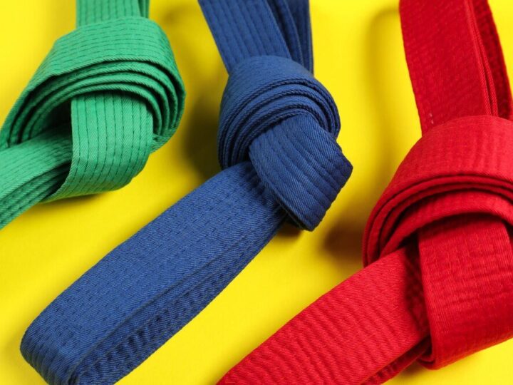 Pasy i stopnie w taekwondo: pełna lista i wymagania