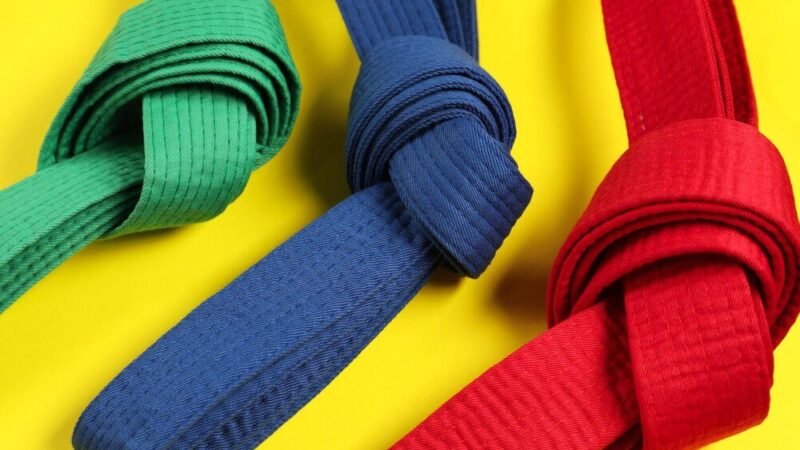 Pasy i stopnie w taekwondo: pełna lista i wymagania
