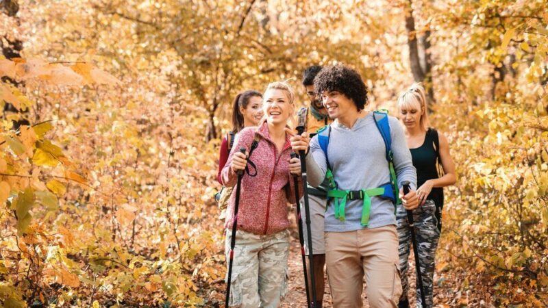 Bieszczady z dziećmi: najlepsze szlaki i trasy dla rodzin